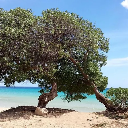 Casa vacanze Terredimare *