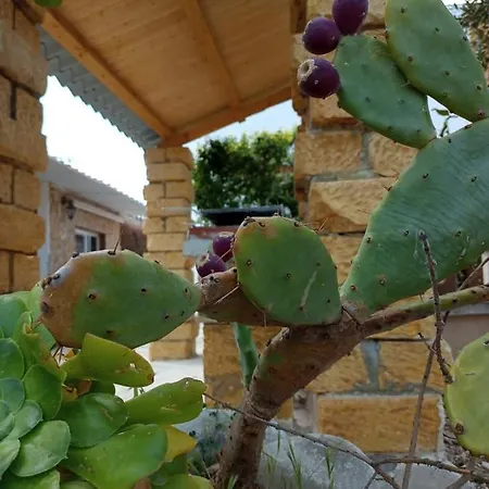 Casa vacanze Terredimare *